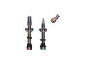 WOLF TOOTH Tubeless Valve Stem Kit | rainbow 80 mm