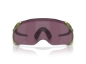 OAKLEY Sonnenbrille Velo Kato TOUR DE FRANCE 2026 Matte Trans Fern | Prizm Road Black OO9501-0952