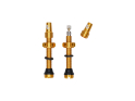 WOLF TOOTH Tubeless Valve Stem Kit | gold 80 mm