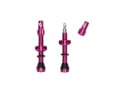 WOLF TOOTH Tubeless Valve Stem Kit | pink 80 mm