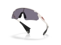 OAKLEY Sunglasses Stunt Devil A Matte Mist | Prizm Grey OO9525-0537