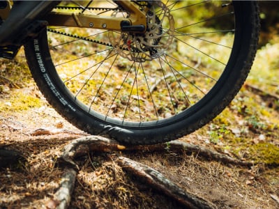SCHWALBE Tire Hybrid Johnny Watts 29 x 2.60 | ADDIX GREEN RADIAL TLR |
