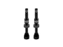 AMBIT Tubeless Ventil Set Realm | schwarz