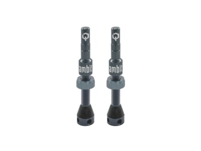 AMBIT Tubeless Ventil Set Realm | ambit blau-grau