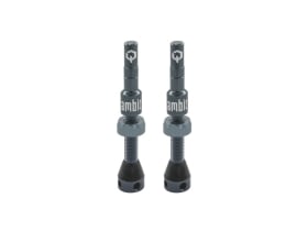 AMBIT Tubeless Ventil Set Realm | ambit blau-grau