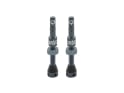 AMBIT Tubeless Ventil Set Realm | ambit blau-grau