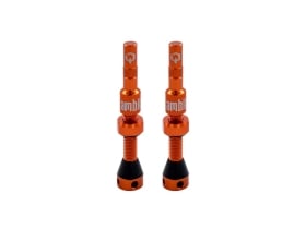 AMBIT Tubeless Ventil Set Realm | orange