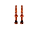 AMBIT Tubeless Ventil Set Realm | orange