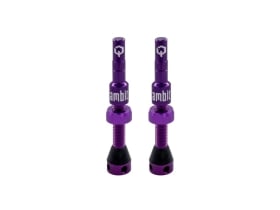 AMBIT Tubeless Ventil Set Realm | lila