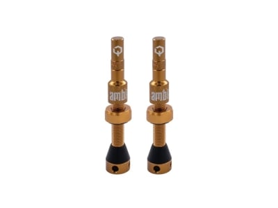 AMBIT Tubeless Ventil Set Realm | braun
