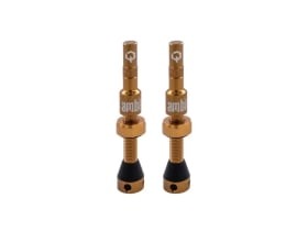 AMBIT Tubeless Ventil Set Realm | braun