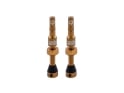 AMBIT Tubeless Ventil Set Realm | braun