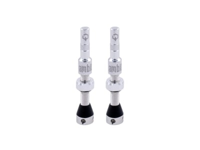 AMBIT Tubeless Ventil Set Realm | silber