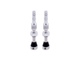 AMBIT Tubeless Ventil Set Realm | silber