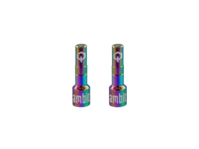 AMBIT Tubeless Ventil Adapter Set Realm | oilslick