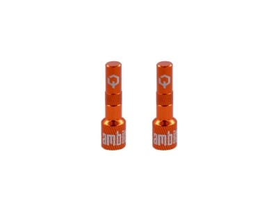 AMBIT Tubeless Ventil Adapter Set Realm | orange