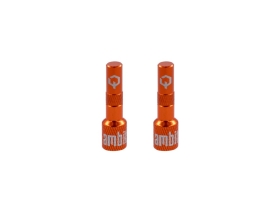 AMBIT Tubeless Ventil Adapter Set Realm | orange