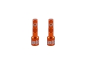 AMBIT Tubeless Ventil Adapter Set Realm | orange