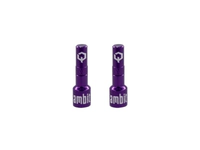 AMBIT Tubeless Ventil Adapter Set Realm | lila
