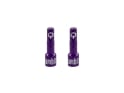 AMBIT Tubeless Ventil Adapter Set Realm | lila