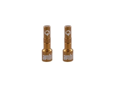 AMBIT Tubeless Ventil Adapter Set Realm | braun