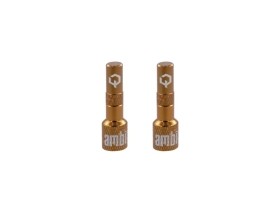 AMBIT Tubeless Ventil Adapter Set Realm | braun