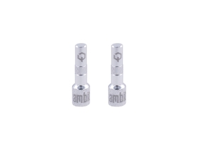 AMBIT Tubeless Ventil Adapter Set Realm | silber