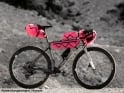 CYCLITE Rahmentasche Frame Bag 02 | 2,8 Liter Limited Edition | pink rush