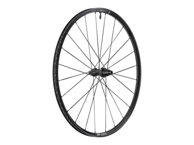 DT SWISS Rear Wheel 28