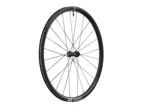 DT SWISS Rear Wheel 28