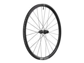 DT SWISS Rear Wheel 28