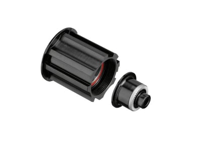 DT SWISS Freehub | 11- / 12-speed Campagnolo