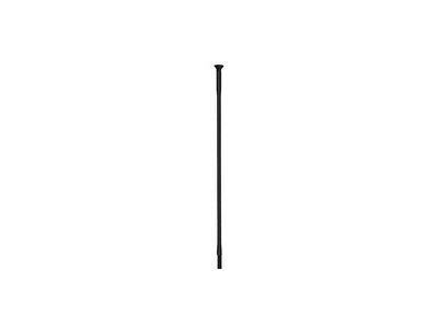 SAPIM Speiche Race Straightpull schwarz 288 mm