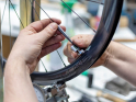 Custom wheel building at r2-bike