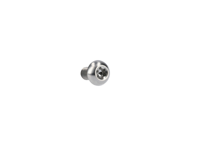 Titanium screw M5x10 lens head Torx silver